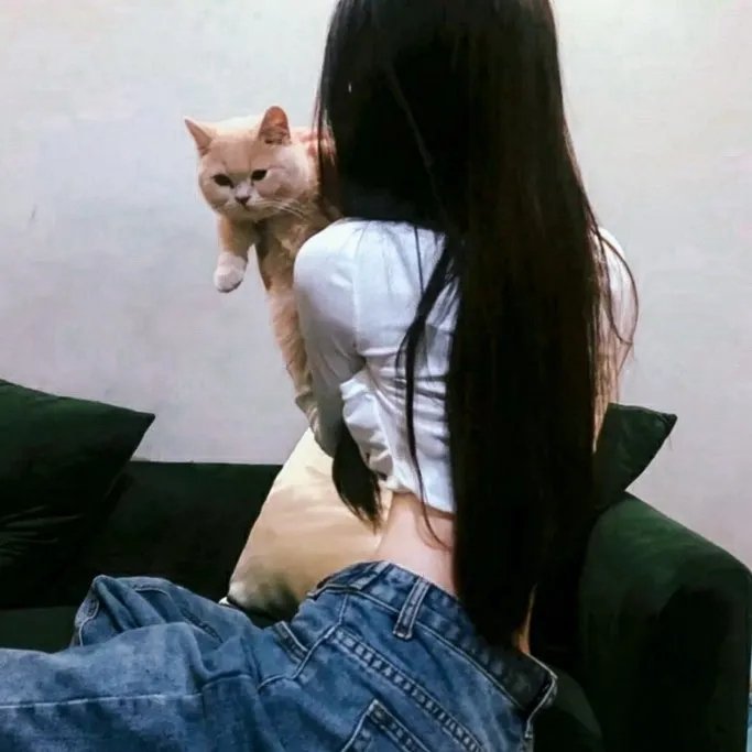 圈圈里的爱